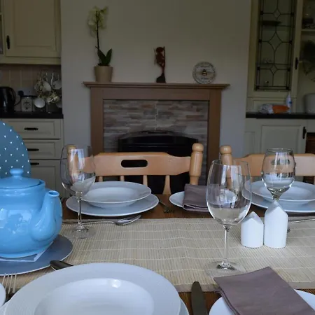 Teach Kitty Con Tatil Evi *