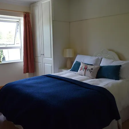 Teach Kitty Con Dungloe