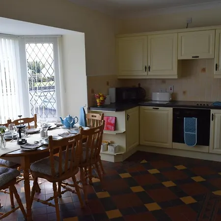 Teach Kitty Con Nyaraló *