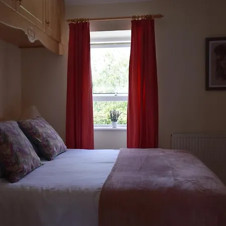 Tatil Evi Teach Kitty Con