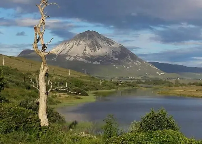 Tatil Evi Teach Kitty Con Dungloe